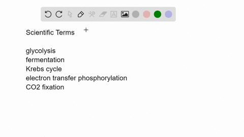 match-the-event-with-its-most-suitable-description-______-glycolysis-______-fermentation-______-kreb