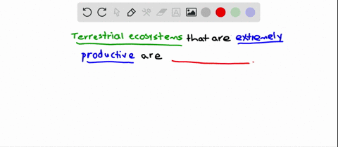 the-most-highly-productive-terrestrial-ecosystems-are-a-deserts-b-prairies-c-forests-d-savannas-e-tu