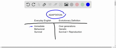 in-everyday-english-the-word-adaptation-means-an-adjustment-to-environmental-conditions-how-is-the-2