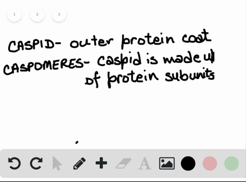 an-_____-is-an-individual-virus-particle-outside-a-host-cell-that-consists-of-a-nucleic-acid-core-an