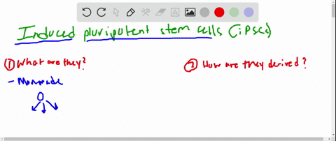 what-are-induced-pluripotent-stem-cells-how-are-they-derived-from-adult-somatic-cells-2