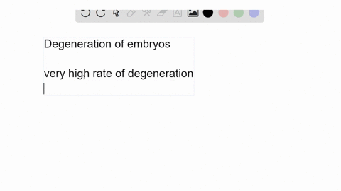 a-male-rat-that-is-phenotypically-normal-shows-reproductive-anomalies-when-compared-with-normal-ma-2