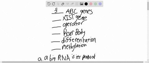 match-the-terms-with-the-most-suitable-description-__________-a-b-c-genes-__________-xist-gene-_____