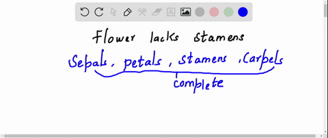 a-flower-that-lacks-stamens-is-both-______-and-______-a-complete-imperfect-b-incomplete-perfect-c-co