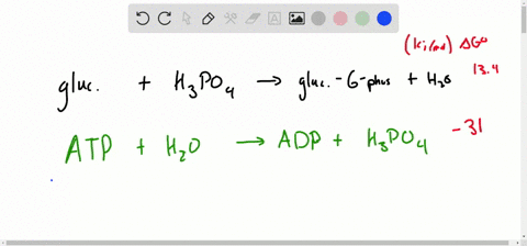 in-the-metabolism-of-glucose-the-first-step-is-the-conversion-of-glucose-to-glucose-6-phosphate-begi