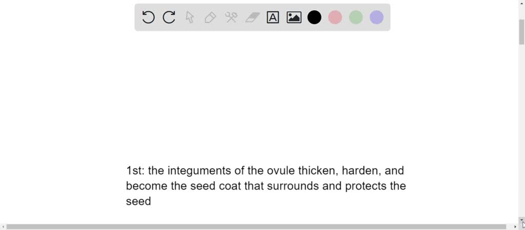 solved-what-are-the-components-of-a-plant-press