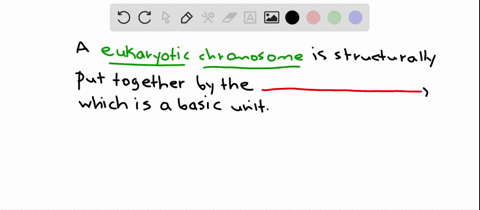 3-the-basic-unit-that-structurally-organizes-a-eukaryotic-chromosome-is-the____-a-higher-order-coili