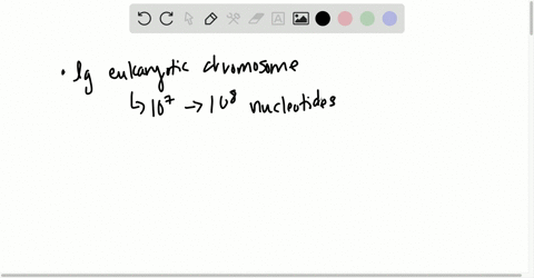 why-must-each-of-the-giant-dna-molecules-in-eukaryotic-chromosomes-contain-multiple-origins-of-repli
