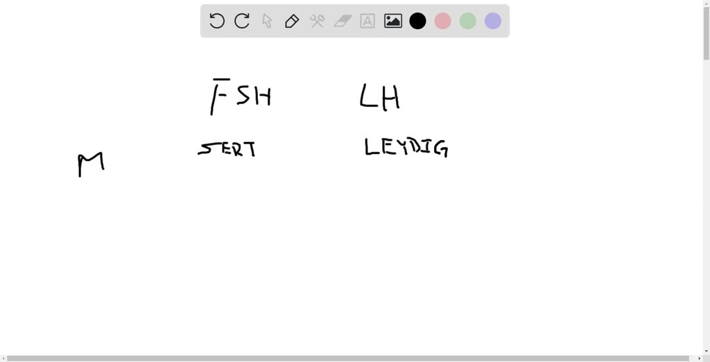 solved-in-a-male-patient-with-low-testosterone-levels-fsh-and-lh