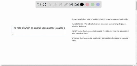the-rate-at-which-an-animal-uses-energy-is-called-a-body-mass-index-b-the-animals-energy-consumption