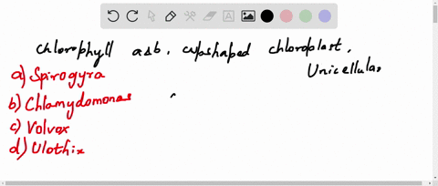 the-organism-which-contain-chlorophyll-aand-b-cup-shaped-chloroplast-and-is-unicellular-is-a-spirogy