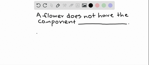 which-of-the-following-is-not-a-component-of-a-flower-a-sepal-b-stamen-c-carpel-d-bract