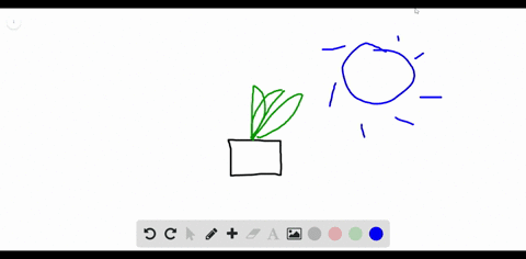 a-ethylene-gas-b-abscisic-acid-c-auxin-d-gibberellins-e-cytokinins-responsible-for-phototropisms