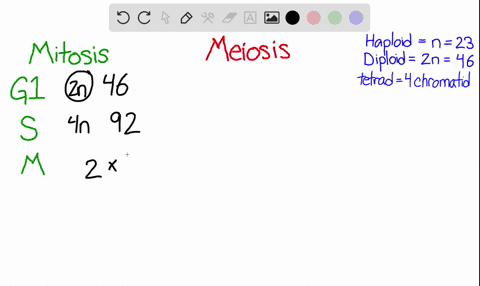 if-the-haploid-number-of-chromosomes-in-humans-is-23-and-the-amount-of-nuclear-dna-in-a-sperm-is-1-m