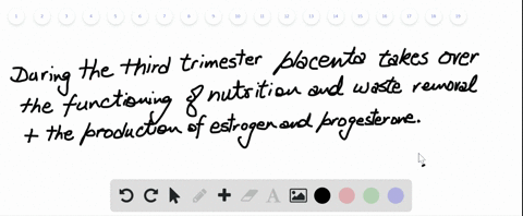 before-pregnancy-progesterone-is-produced-by-the-ovaries-to-thicken-the-endometrial-lining-and-ensur