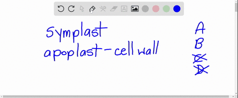 Solved:which Structure Or Compartment Is Part Of The Symplast? (A) The  Interior Of A Vessel Element (B) The Interior Of A Sieve Tube (C) The Cell  Wall Of A Mesophyll Cell (D) Solved:which Structure Or Compartment Is Part Of The Symplast? (A) The  Interior Of A Vessel Element (B) The Interior Of A Sieve Tube (C) The Cell  Wall Of A Mesophyll Cell (D)