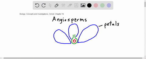 describe-how-the-petals-ovary-and-ovule-of-flowers-participate-in-reproduction-what-happens-to-each-