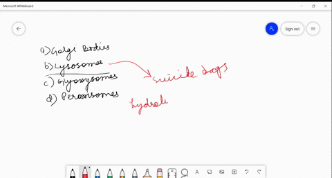 as-they-release-hydrolase-that-digest-old-and-damaged-cells-the-term-suicide-bags-is-aptly-used-by-c