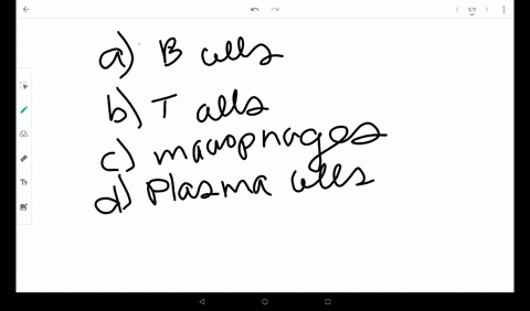 which-of-the-following-cells-is-important-in-the-innate-immune-response-a-mathrmb-cells-b-t-cells-c-