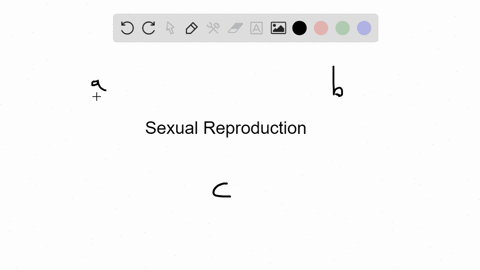 the-main-evolutionary-advantage-of-sexual-over-asexual-reproduction-is-that-it-produces-____________