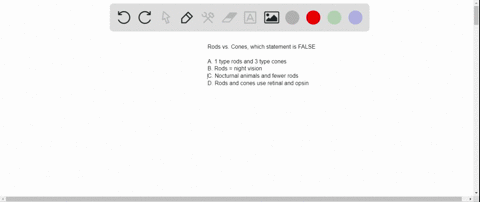 which-of-the-following-comparisons-of-rods-and-cones-is-false-a-most-human-eyes-have-one-type-of-rod