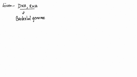 the-genome-of-___________-can-be-either-rna-or-dna-a-a-bacterium-b-a-eukaryote-c-a-virus-d-an-archae