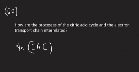 how-are-the-processes-of-the-citric-acid-cycle-and-the-electron-transport-chain-interrelated
