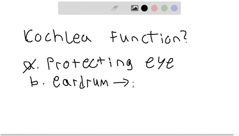 the-cochlea-is-responsible-for-a-protecting-the-surface-of-the-eye-b-transmitting-vibrations-receive
