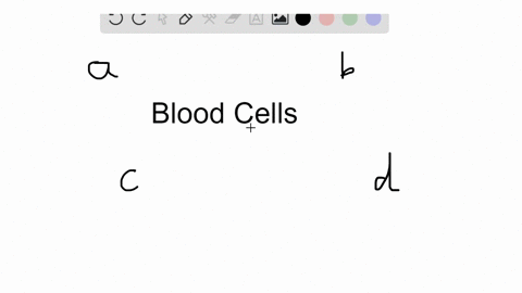 the-blood-cells-exchange-oxygen-carbon-dioxide-and-nutrients-with-the-_____________-surrounding-the-