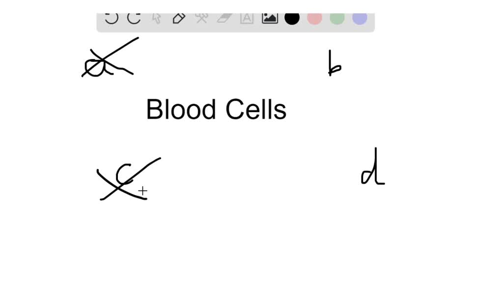 solved-the-blood-cells-exchange-oxygen-carbon-dioxide-and-nutrients