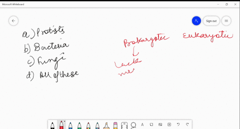 SOLVED:Which Of The Following Does Not Belong To Eukaryote? (a ...