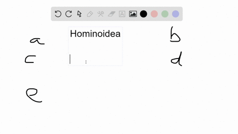 the-hominoidea-is-a-monophyletic-group-that-includes-a-apes-and-monkeys-b-apes-only-c-humans-and-h-2