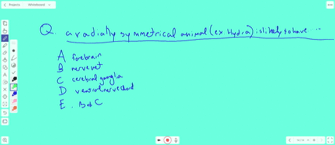 a-radially-symmetrical-animal-such-as-hydra-is-likely-to-have-a-a-forebrain-b-a-nerve-net-c-cerebral