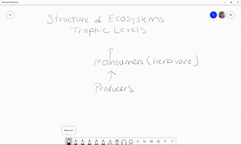 decomposers-are-commonly-______-a-fungi-b-animals-c-bacteria-quad-d-a-and-c