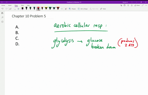 in-glucose-degradation-under-aerobic-conditions-a-oxygen-is-the-final-electron-acceptor-b-oxygen-is-