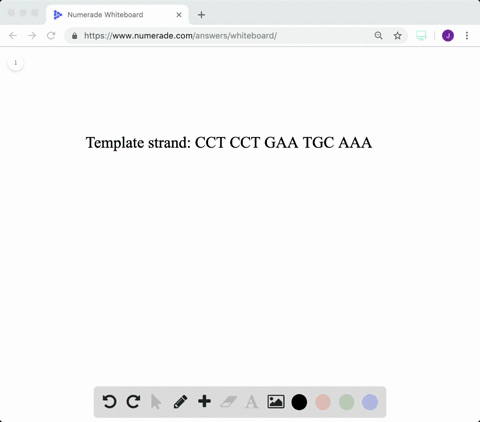 this-is-a-segment-of-a-dna-molecule-what-are-a-the-rna-codons-b-the-matching-trna-anticodons-and-c-t