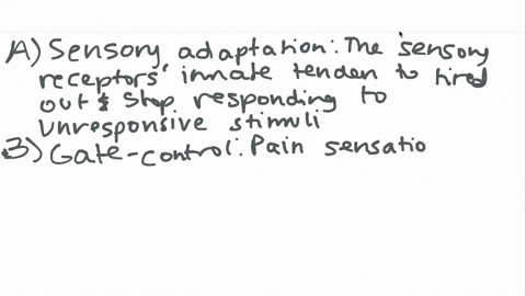 the-__________-theory-of-pain-helps-explain-why-it-sometimes-helps-to-rub-or-massage-an-injured-area