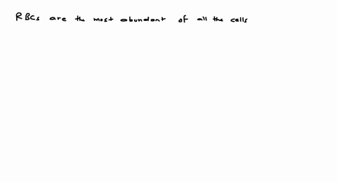 which-of-the-following-statements-is-incareet-a-erythrocytesrbcs-are-the-least-abundant-of-a_k-cells