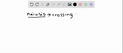 crossing-over-happens-during-which-phase-of-meiosis