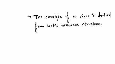 the-envelope-of-a-virus-is-derived-from-the-hosts-a-nucleic-acids-b-membrane-structures-c-cytoplas-2