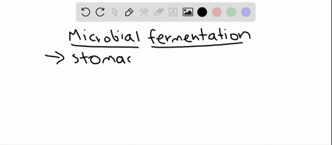 microbial-fermentation-in-the-gut-of-a-cow-a-produces-fatty-acids-as-a-major-nutrient-for-the-cow--2