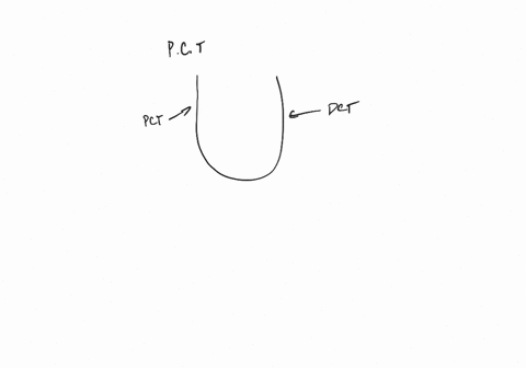 which-is-reabsorbed-by-the-proximal-convoluted-tubule-cells-a-mathrmna-b-mathrmkmathrmc-amino-acids-