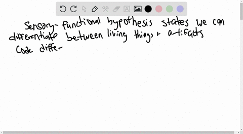 what-is-the-sensory-functional-hypothesis-of-brain-categorization-describe-the-neuropsychological-ev