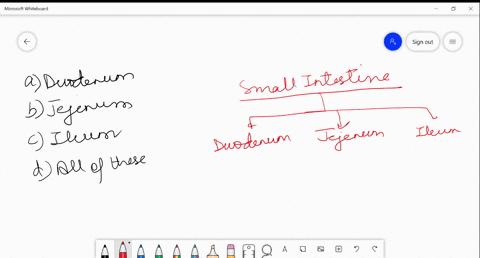which-of-the-following-is-a-highly-coiled-part-of-small-intestine-a-duodenum-b-jejunum-c-ileum-d-all
