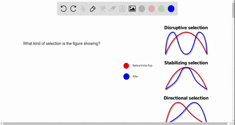 Balancing Selection Graph