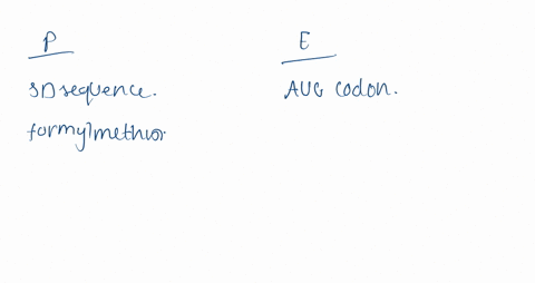 list-the-differences-between-bacterial-and-eukaryotic-protein-synthesis