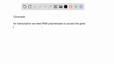 in-the-chromatin-of-eukaryotic-cells-which-regions-of-the-chromosome-would-you-expect-to-be-more-c-2