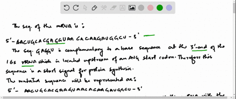 an-mrna-transcript-of-a-t7-phage-gene-contains-the-base-sequence-predict-the-effect-of-a-mutation-th