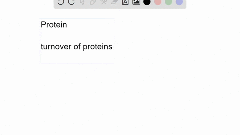 why-is-it-necessary-to-have-protein-in-our-diets-3