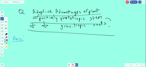 what-adaptive-advantages-are-conferred-on-a-plant-whose-stems-are-positively-phototropic-and-whose-2